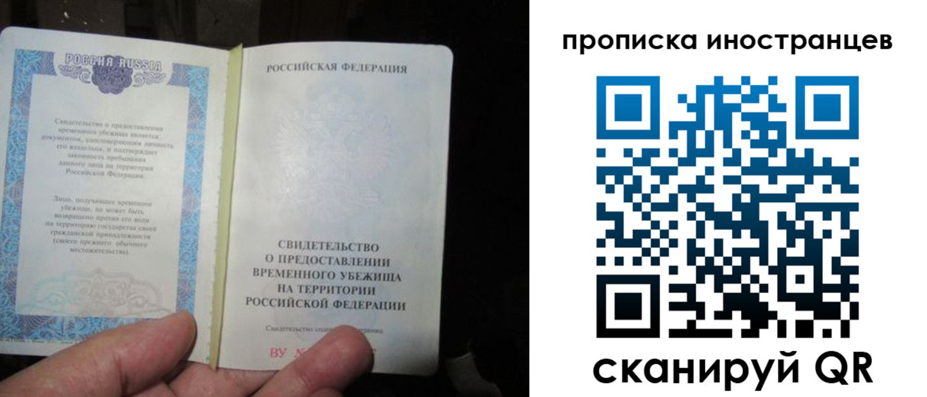 прописка штамп в Ельне